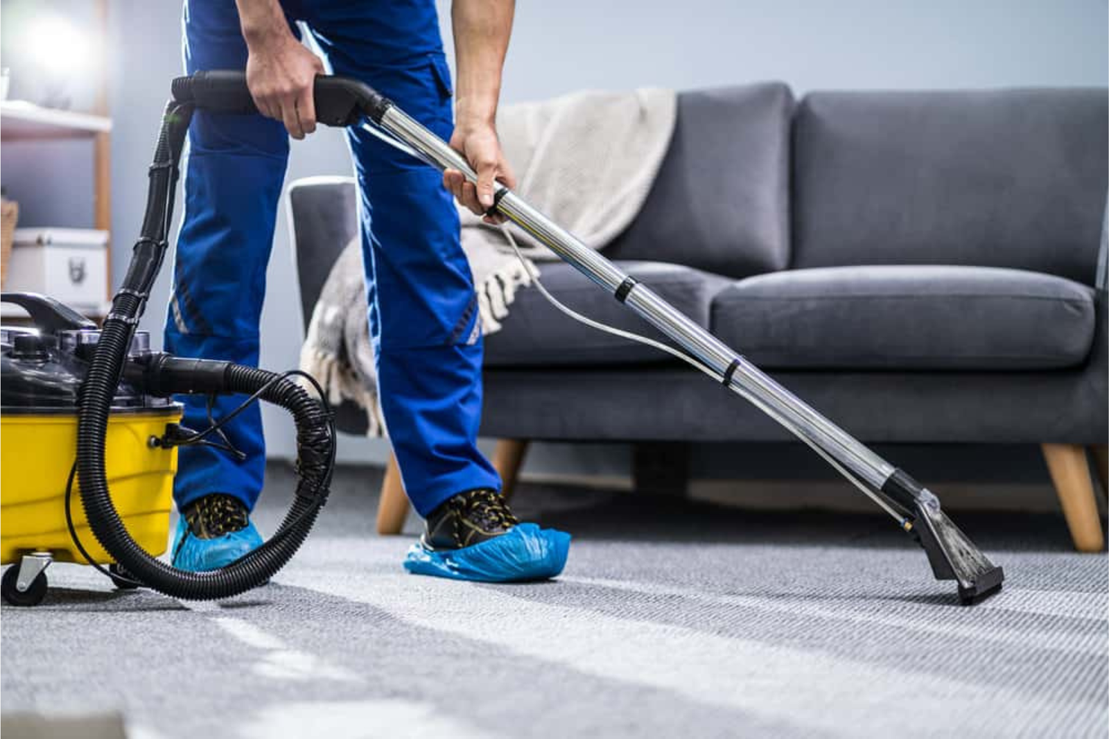 PrimePro Carpet Cleaning Services Sydney